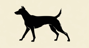Pourquoi nous favorisons le coton biologique pour nos créations chien