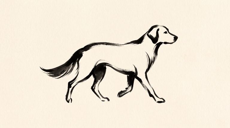 Pourquoi vermifuger son chien : à quoi sert vraiment le vermifuge ?
