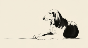 Arthrose chez le chien âgé : reconnaître, soulager et aménager son quotidien