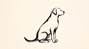 Stériliser son chien : guide complet pour prendre la bonne décision
